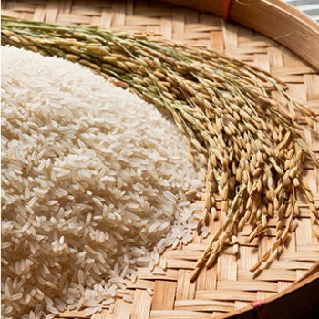 Rice